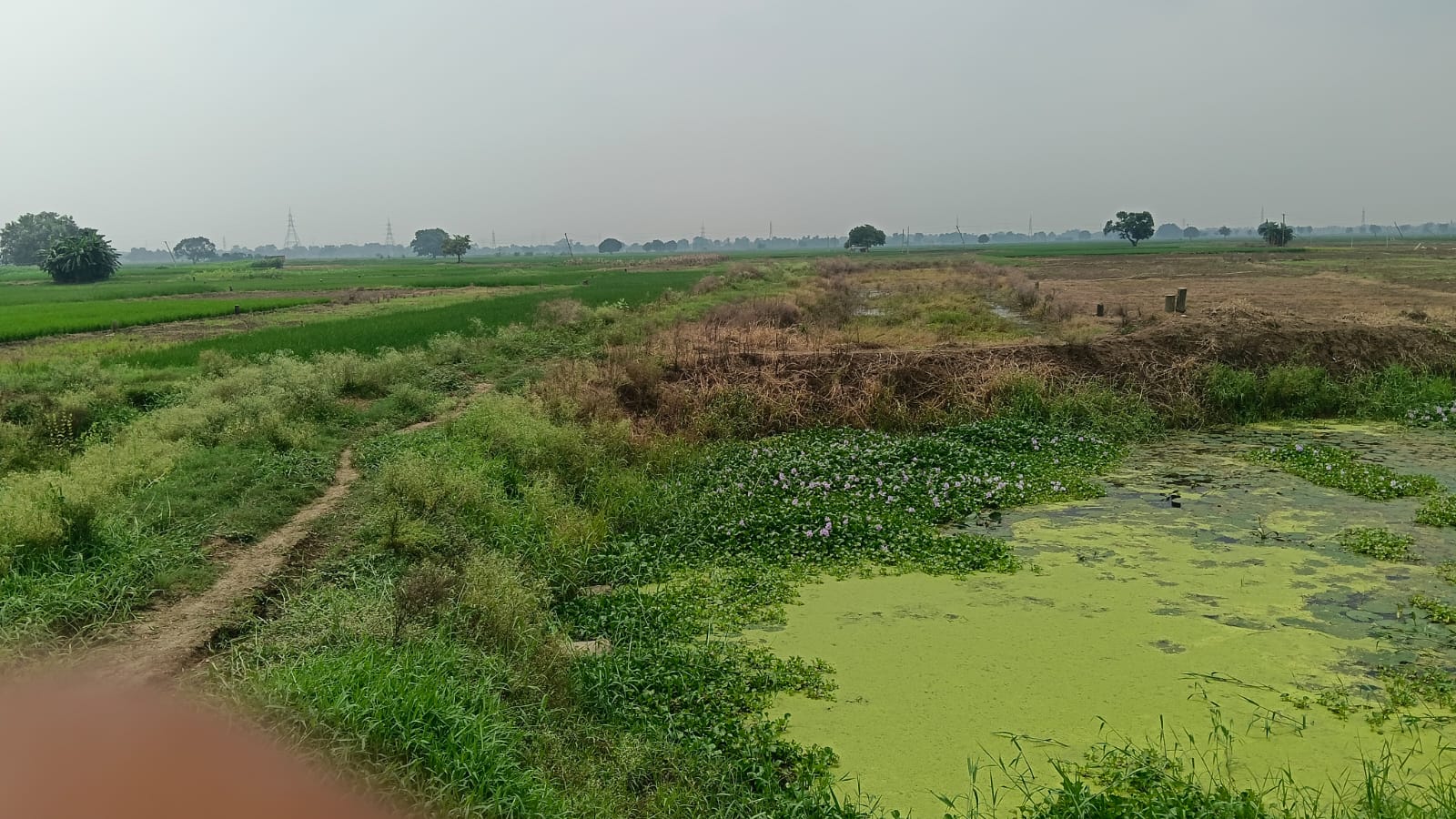 Commercial Plot