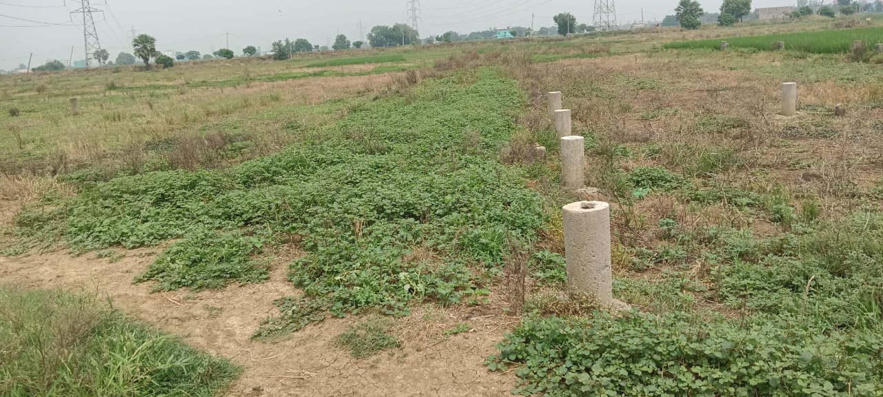 Commercial Plot
