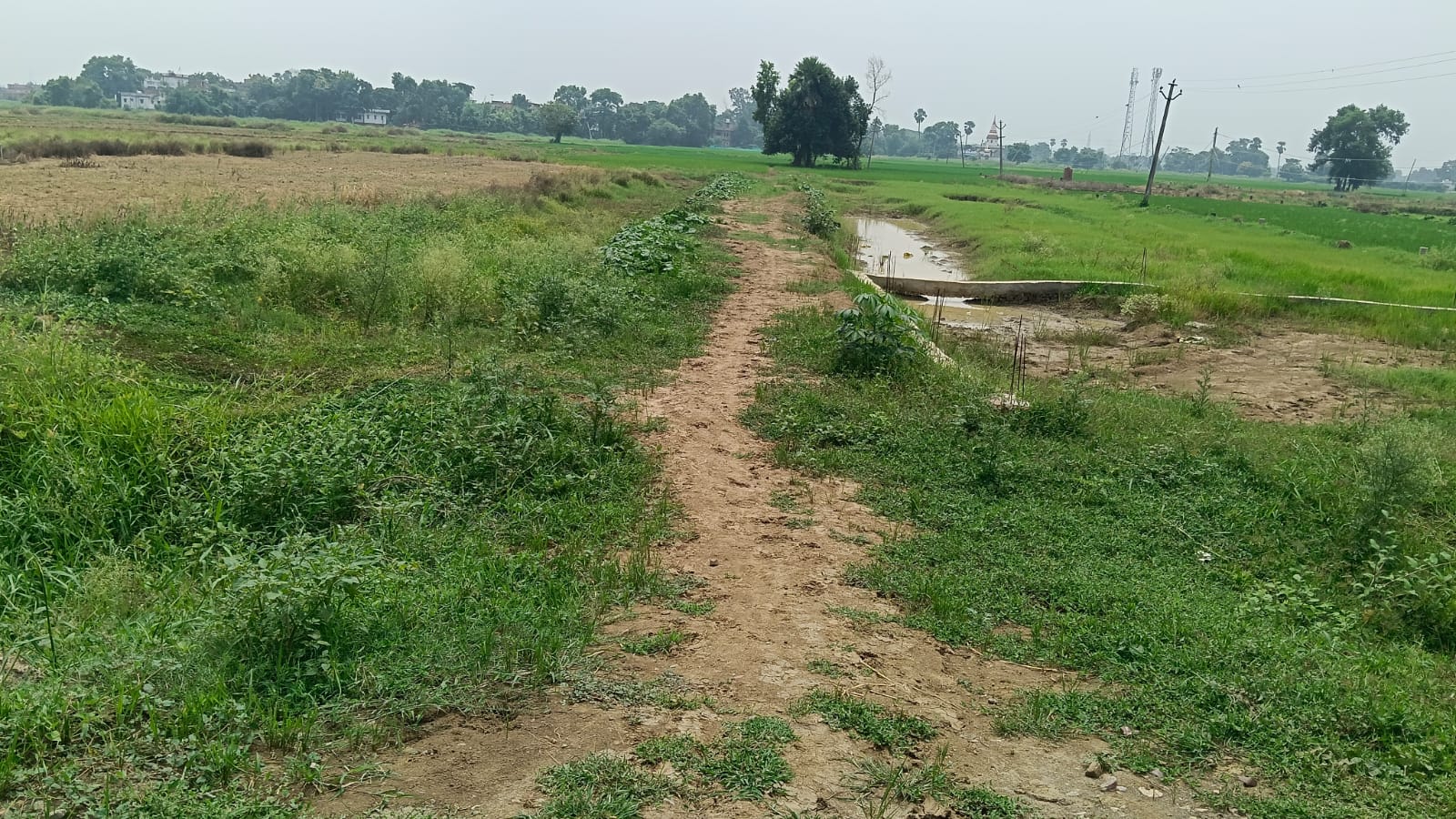 Commercial Plot